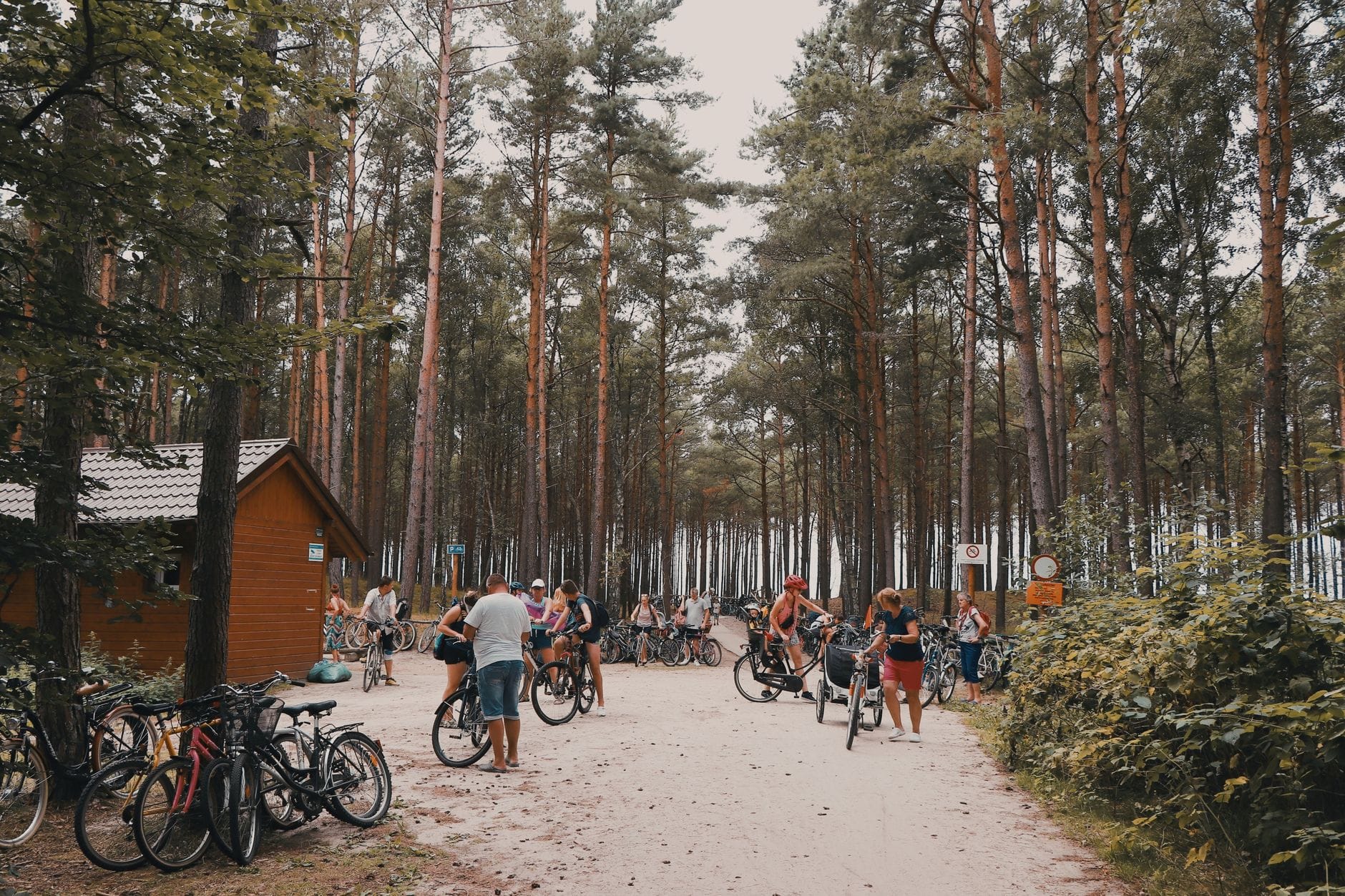 Grupa rowerzystów odpoczywa w spokojnym, leśnym otoczeniu
